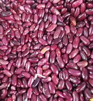 Red Kidney Beans
