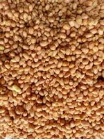 Peanuts (Small)
