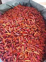 Red Chilli