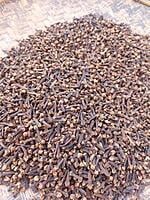Cloves