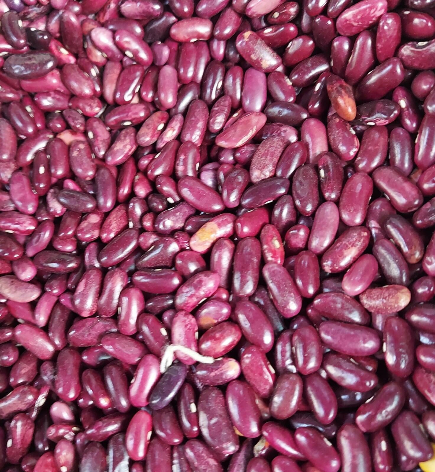 Red Kidney Beans