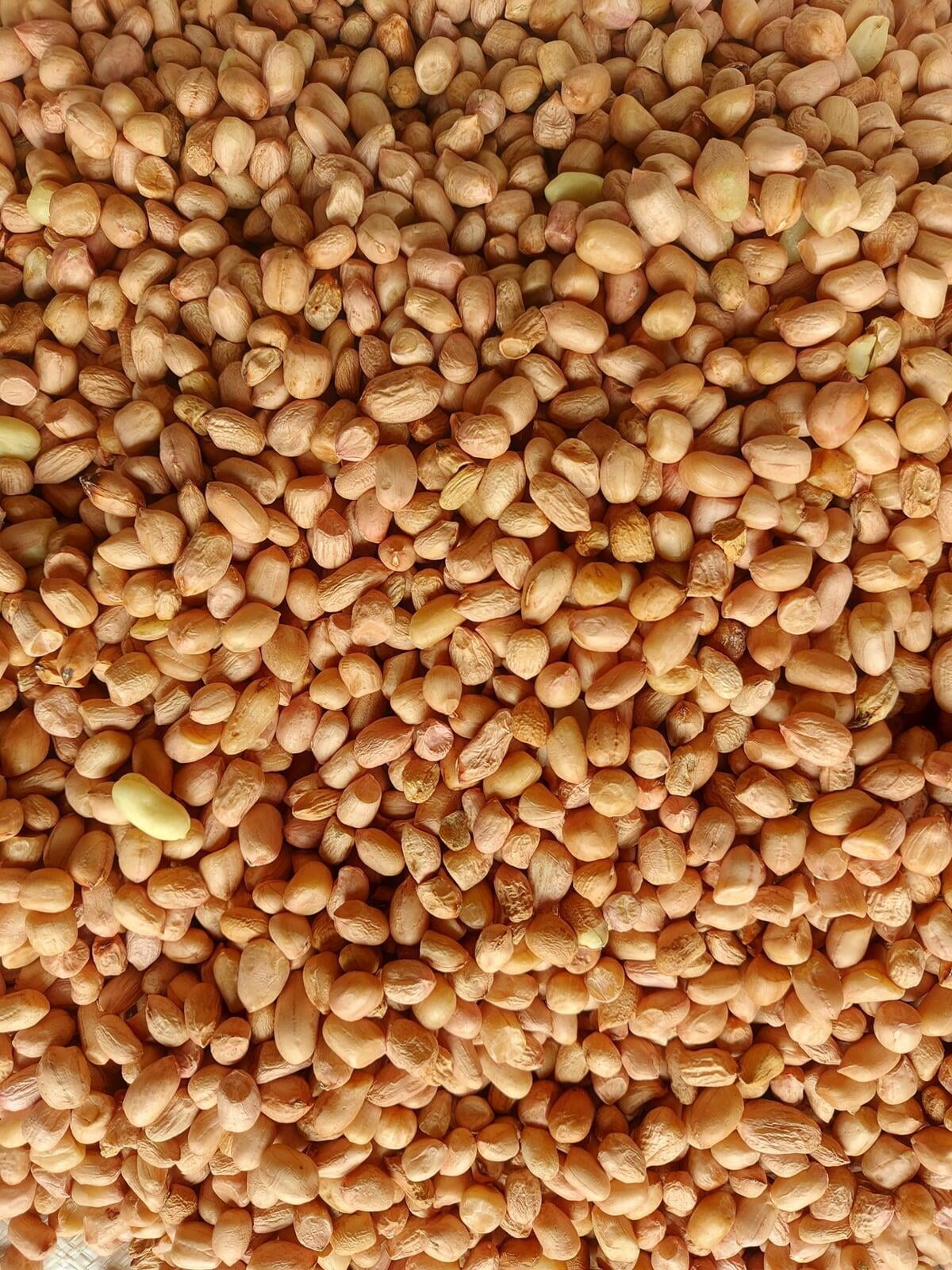 Peanuts (Small)