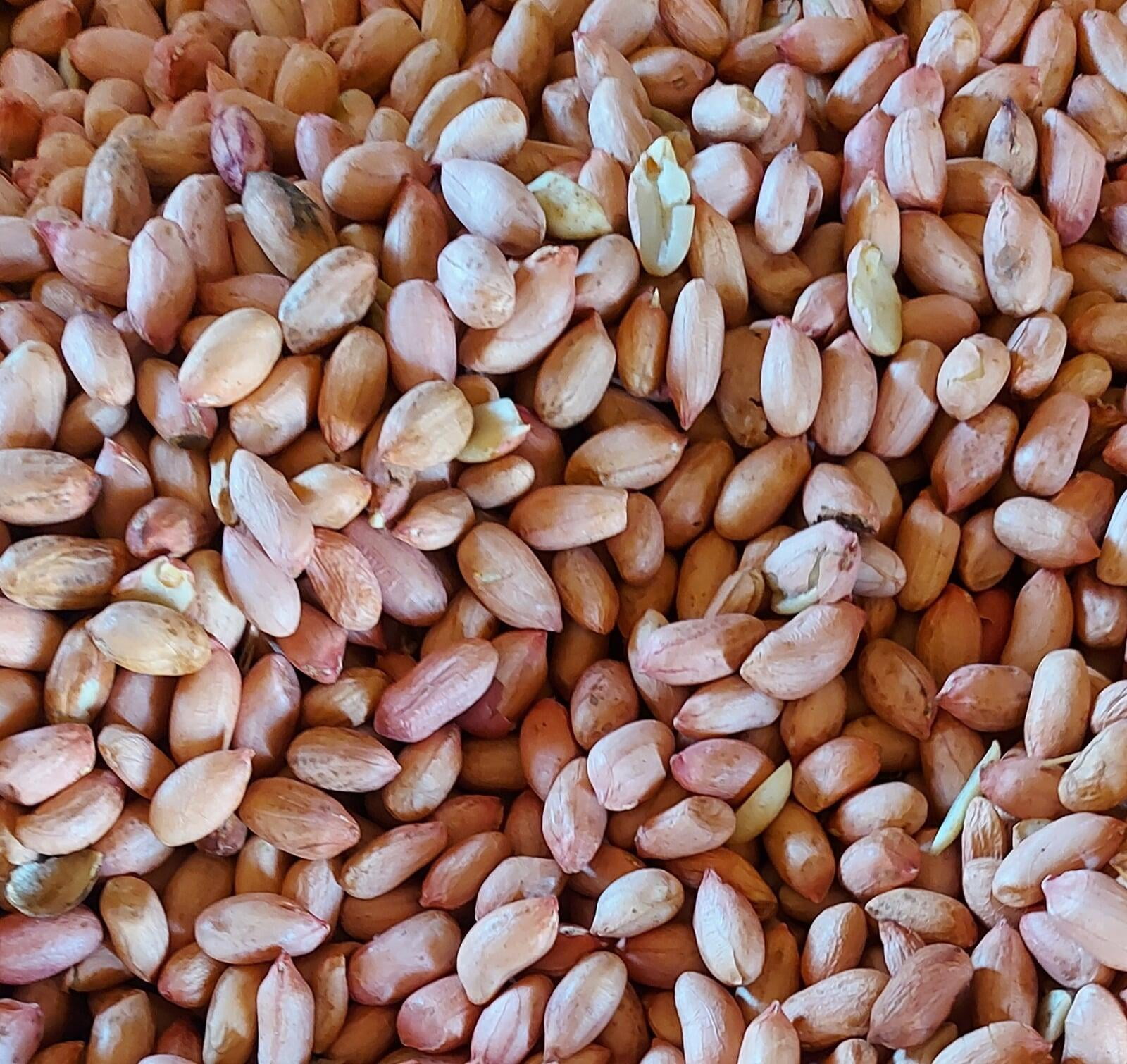 Peanuts (Long)