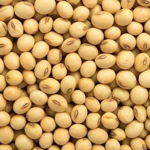 Soyabeans